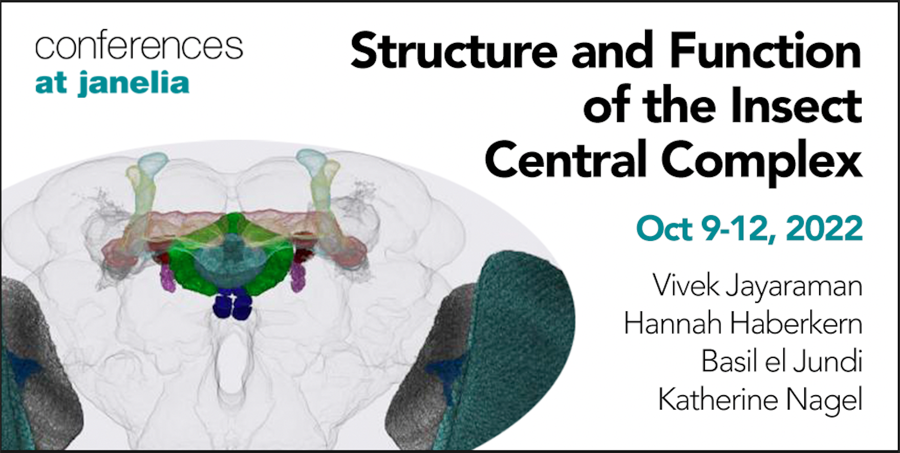 Structure and Function of the Insect Central Complex Janelia